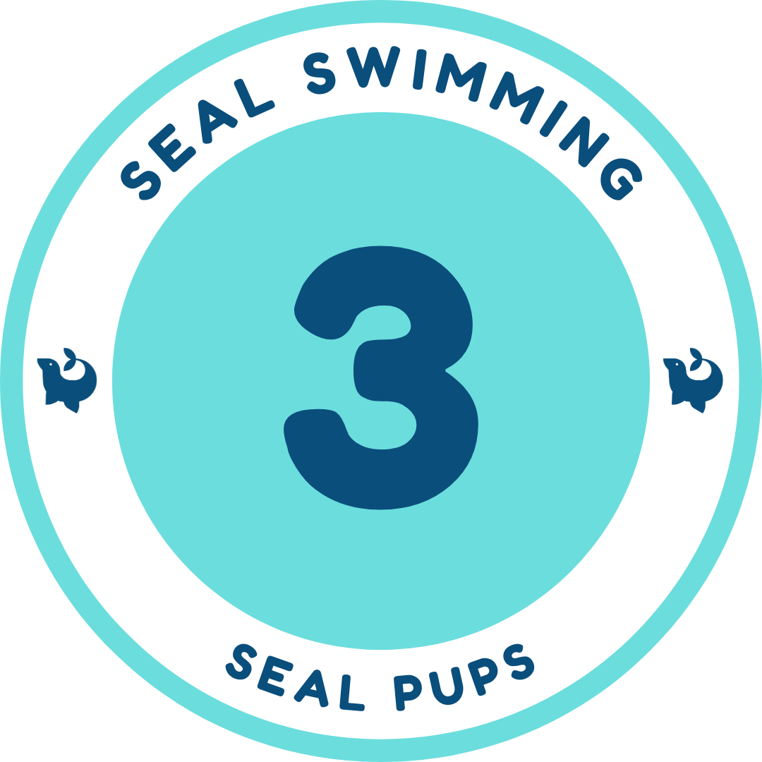 Seal Pups 3 official Seal Swimming badge