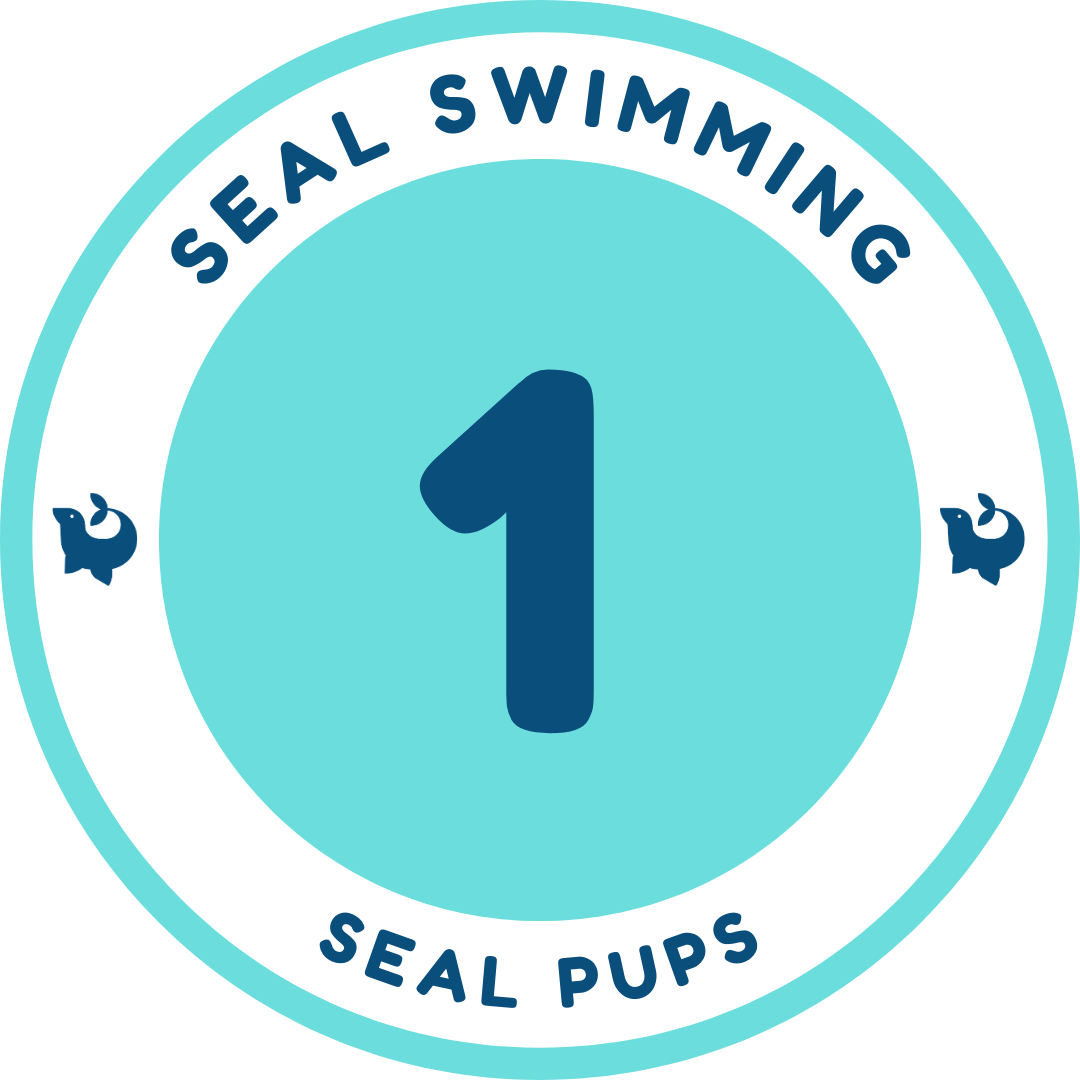 Seal Pups 1 official Seal Swimming badge