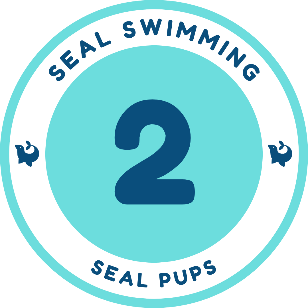 Seal Pups 2 official Seal Swimming badge