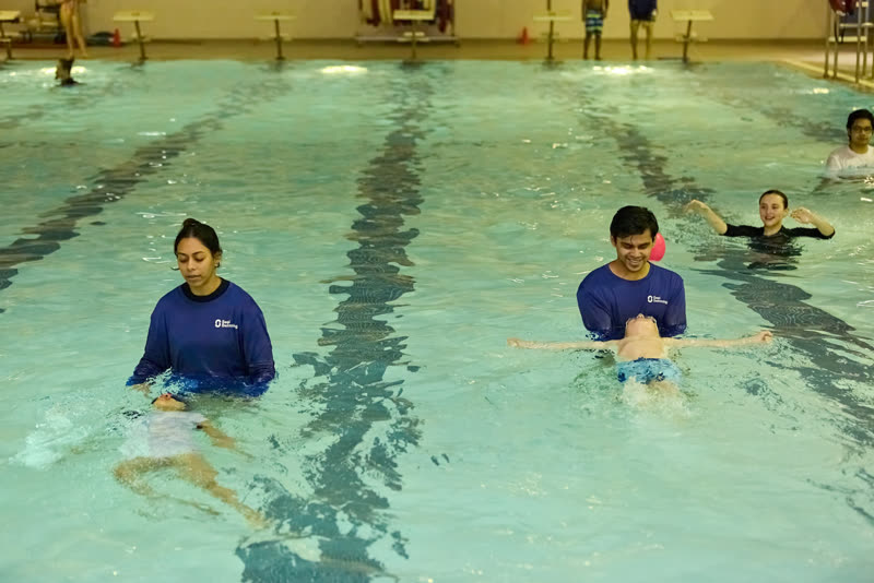 A Seal Swimming lesson at the Guildwood pool.